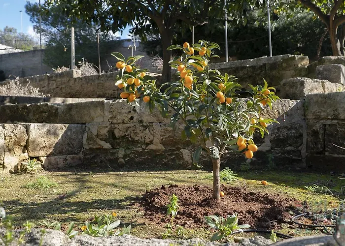 Casa Lu Ientu Puglia On Line * トッレ・ヴァード
