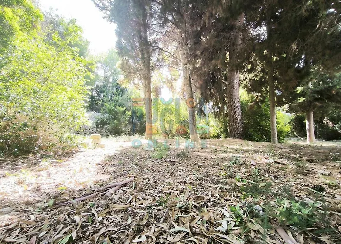 Casa Lu Ientu Puglia On Line トッレ・ヴァード